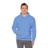 Progress Learning Hooded Sweatshirt, Men Sweatshirt, Gift for Students, School Spirit Apparel