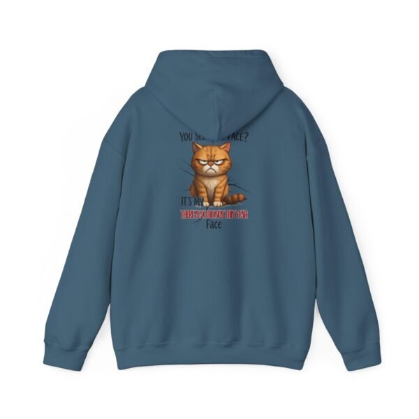 Funny Cat Hooded Sweatshirt, Unisex Pullover, Casual Wear, Gifts for Cat Lovers, Cozy Hoodie, Pet Lover Apparel