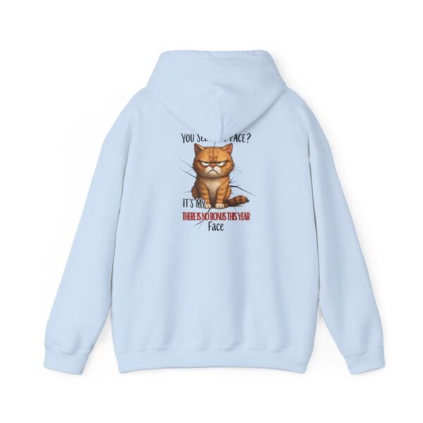 Funny Cat Hooded Sweatshirt, Unisex Pullover, Casual Wear, Gifts for Cat Lovers, Cozy Hoodie, Pet Lover Apparel