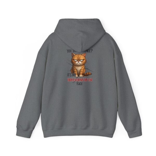 Funny Cat Hooded Sweatshirt, Unisex Pullover, Casual Wear, Gifts for Cat Lovers, Cozy Hoodie, Pet Lover Apparel