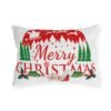 4305980207126746264_2048.jpeg Christmas Pillow, Sleigh Rides Santa Claus Flying Reindeer Company, Decorative Throw, With Different Designs On Both Sides!!
